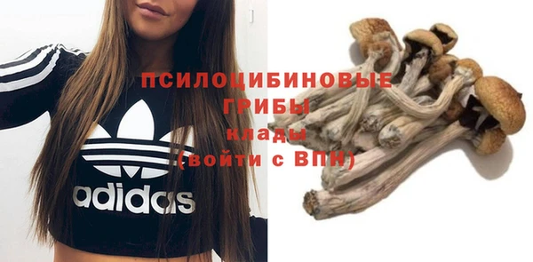 прущая мука Костерёво