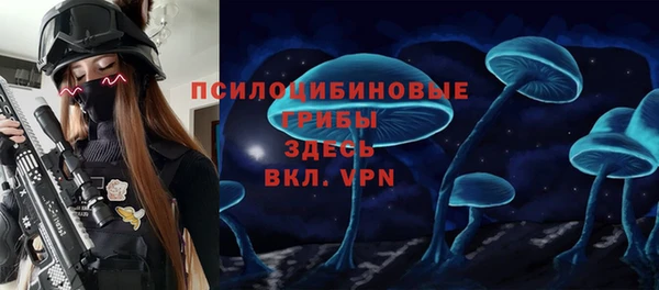 бошки Коряжма