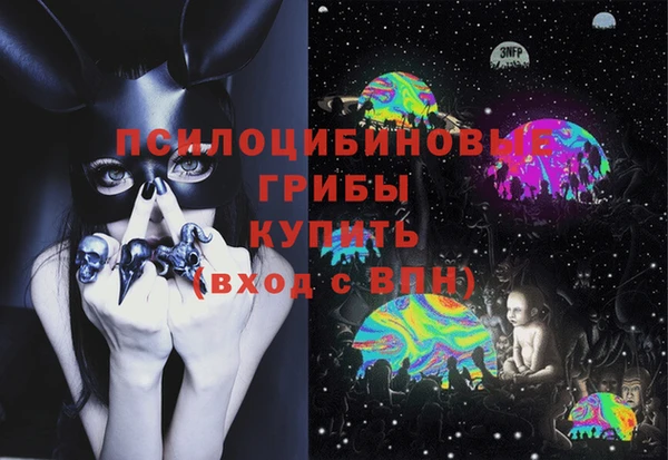мет Корсаков