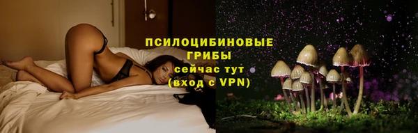 бошки Коряжма