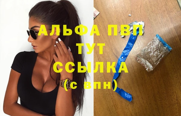 бошки Коряжма