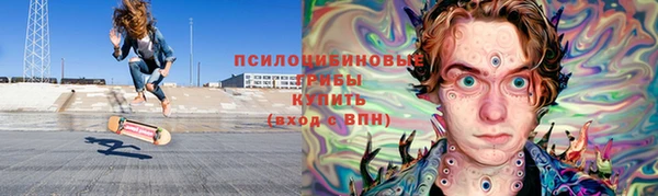 бошки Коряжма