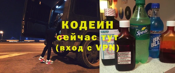 мет Корсаков