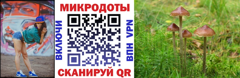 Купить закладки  Гатчина  Псилоцибиновые грибы MAGIC MUSHROOMS 